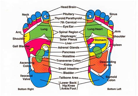 Healing Touch and Reflexology Massage .